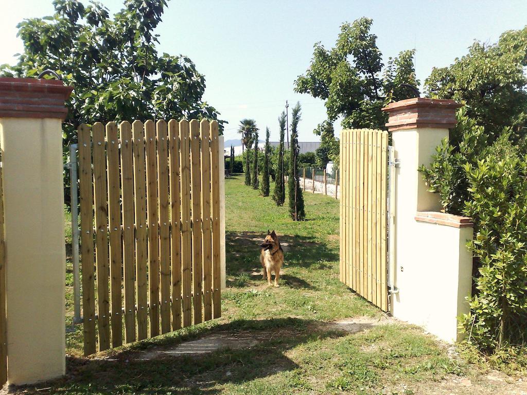 Villa In Lucca Exterior photo